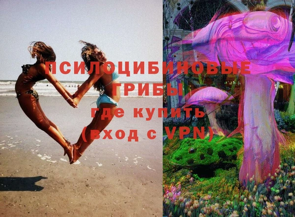 бутират Нязепетровск