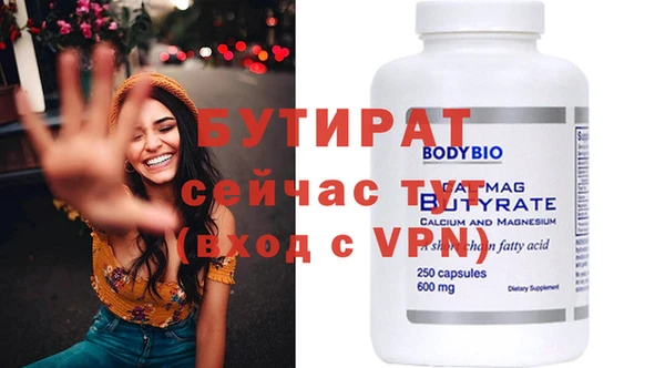 индика Вяземский