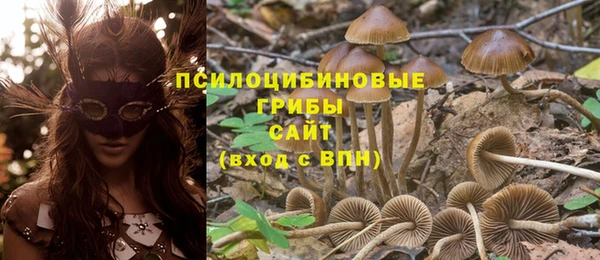 бутират Нязепетровск