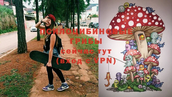бутират Нязепетровск