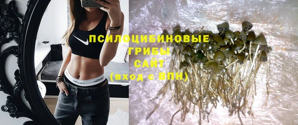 ешки Няндома
