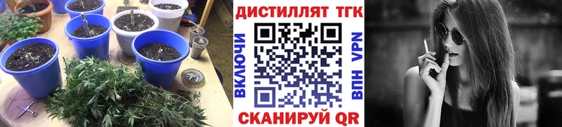 Дистиллят ТГК вейп  блэк спрут сайт  Борисоглебск 