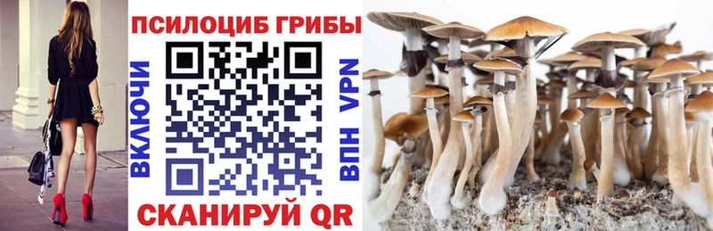 omg ссылки  Борисоглебск  Галлюциногенные грибы мухоморы 