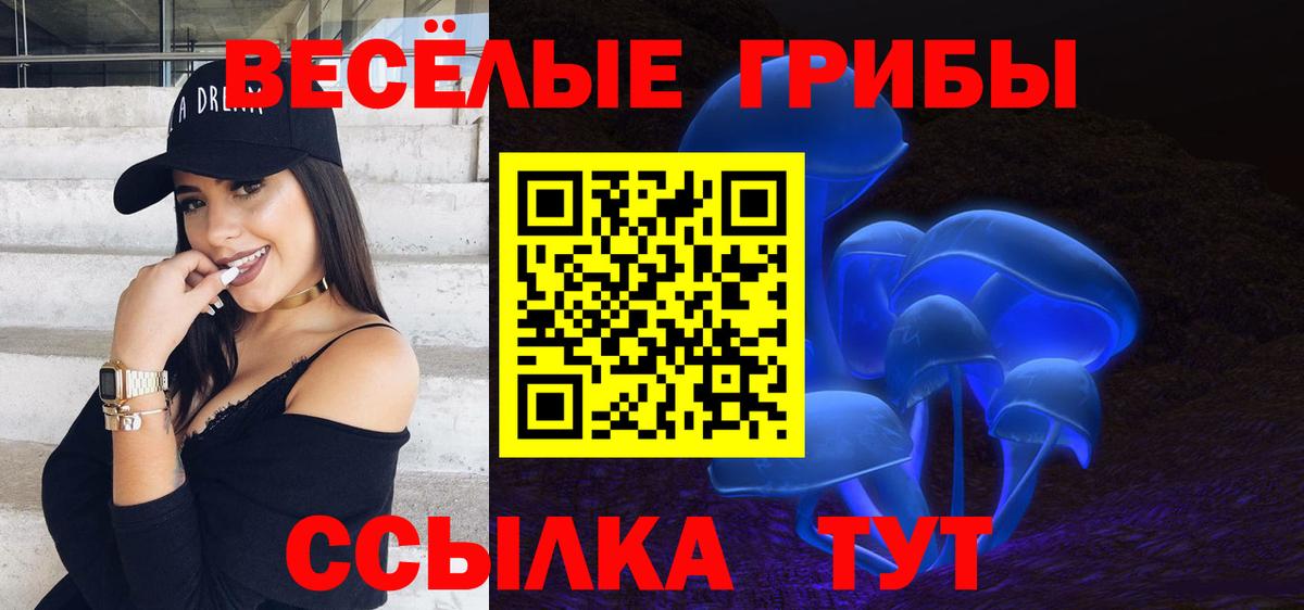 Галлюциногенные грибы Psilocybine cubensis Борисоглебск