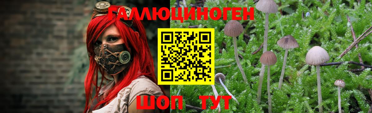 закладки  Борисоглебск  Галлюциногенные грибы GOLDEN TEACHER 